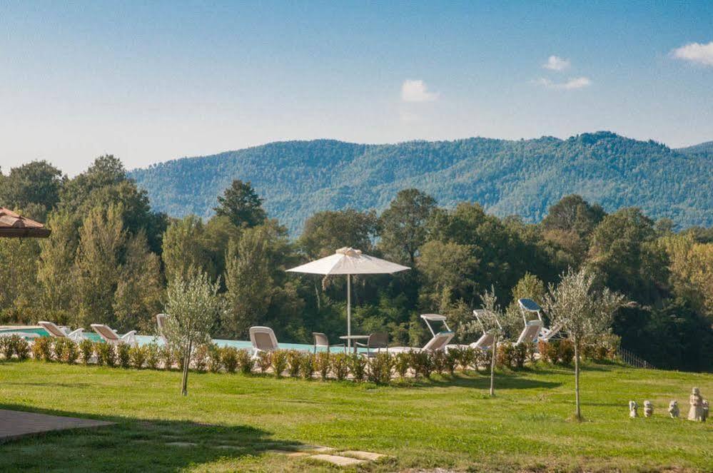 Coltavolino Agriturismo La Collina Del Sole מראה חיצוני תמונה