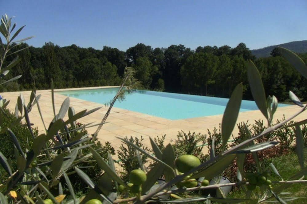 Coltavolino Agriturismo La Collina Del Sole מראה חיצוני תמונה